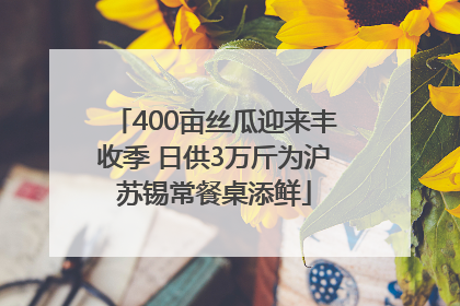 400亩丝瓜迎来丰收季 日供3万斤为沪苏锡常餐桌添鲜