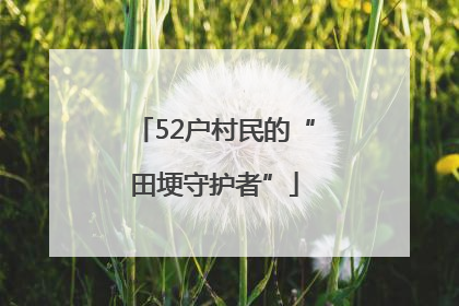 52户村民的“田埂守护者”