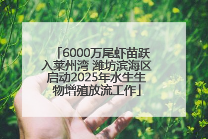 6000万尾虾苗跃入莱州湾 潍坊滨海区启动2025年水生生物增殖放流工作