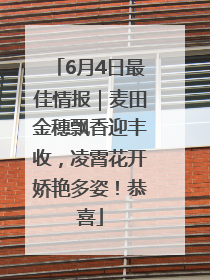 6月4日最佳情报|麦田金穗飘香迎丰收,凌霄花开娇艳多姿!恭喜