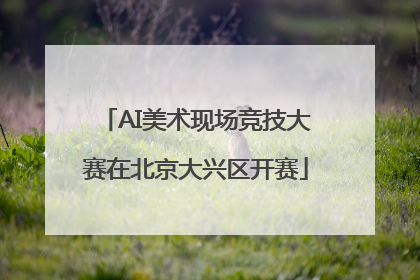 AI美术现场竞技大赛在北京大兴区开赛