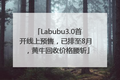 Labubu3.0首开线上预售，已排至8月，黄牛回收价格腰斩