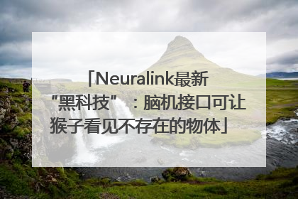 Neuralink最新“黑科技”：脑机接口可让猴子看见不存在的物体