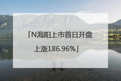 N海阳上市首日开盘上涨186.96%