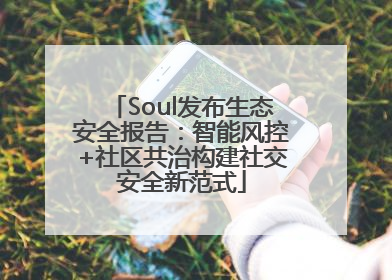 Soul发布生态安全报告：智能风控+社区共治构建社交安全新范式