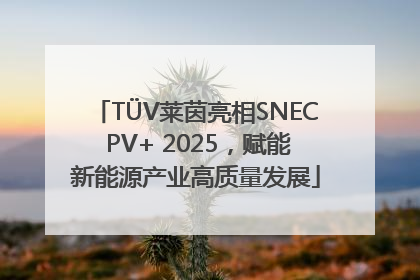 TÜV莱茵亮相SNEC PV+ 2025，赋能新能源产业高质量发展